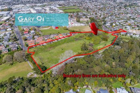 Photo of property in 72 Garelja Road, Henderson, Auckland, 0612
