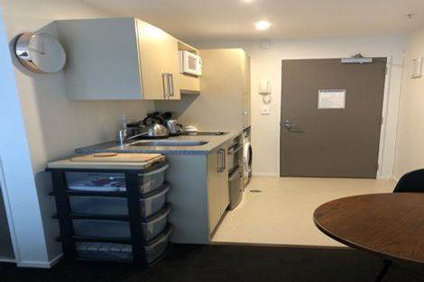 Photo of property in Dual Apartments, 108/142u Vivian Street, Te Aro, Wellington, 6011