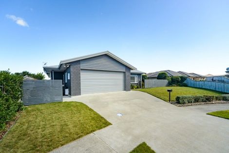 Photo of property in 13 Cherry Place, Feilding, 4702