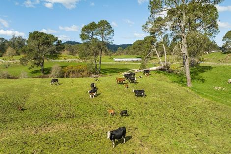 Photo of property in 259 Mcphail Road, Oropi, Tauranga, 3173