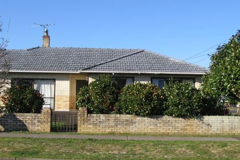 Photo of property in 135 Old Wairoa Road, Papakura, 2110