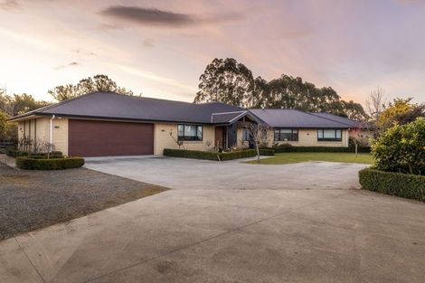 Photo of property in 255 Calico Line, Marton, 4787