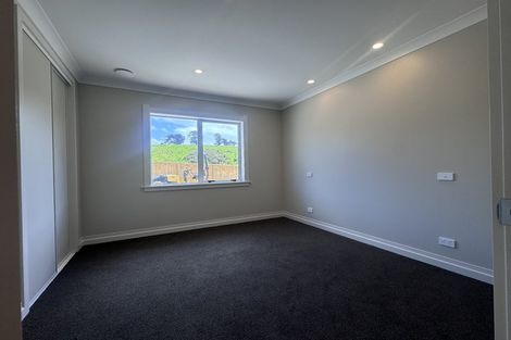 Photo of property in 84a Hastings Street, Halcombe, 4779