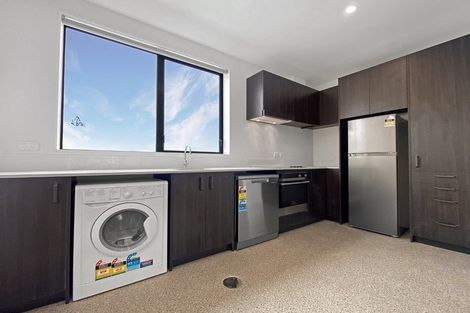 Photo of property in Aniva Terrace, 21 Arney Street, Newtown, Wellington, 6021