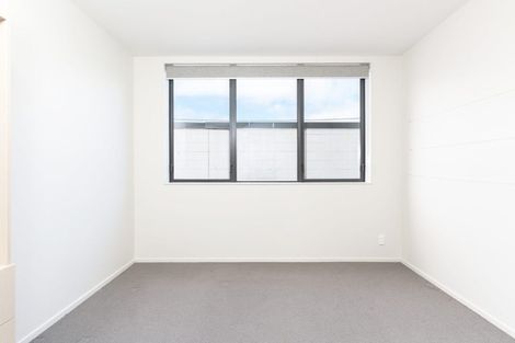 Photo of property in Aniva Terrace, 14 Arney Street, Newtown, Wellington, 6021