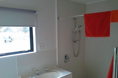 Photo of property in 40 Owhango Road, Owhango, 3990
