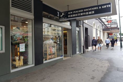 Photo of property in Bellagio Apartments, 39 Taranaki Street, Te Aro, Wellington, 6011