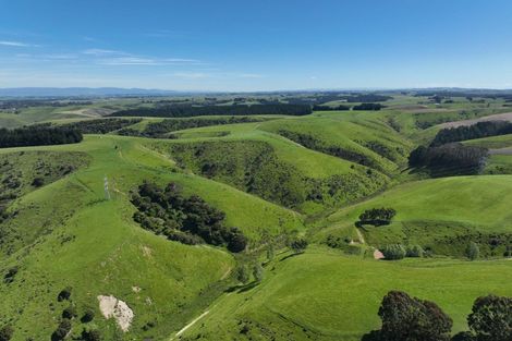 Photo of property in 47 Oopunga Road, Pukekohe, 2120