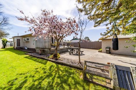 Photo of property in 113 Tavistock Road, Waipukurau, 4200