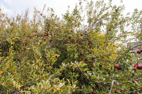 Photo of property in 82 Flygers Line, Milson, Palmerston North, 4478