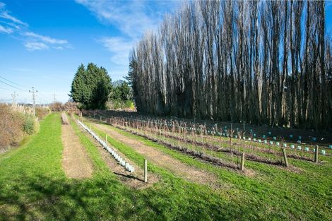 Photo of property in 781 Outram-mosgiel Road, Riverside, Mosgiel, 9073