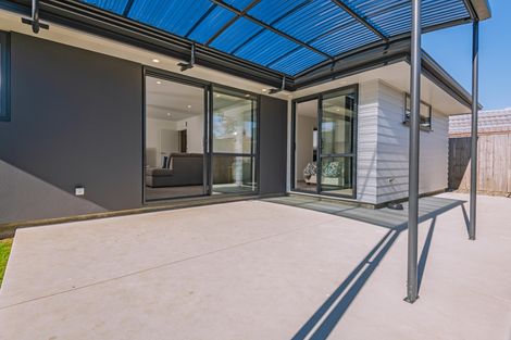 Photo of property in 160a College Street, Awapuni, Palmerston North, 4412