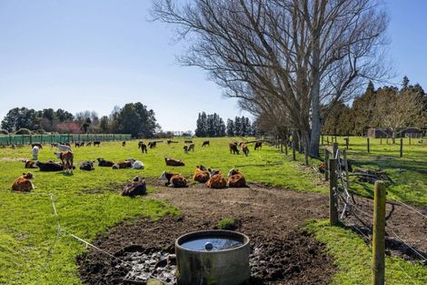 Photo of property in 386 Marshmeadow Road, Newstead, Hamilton, 3286