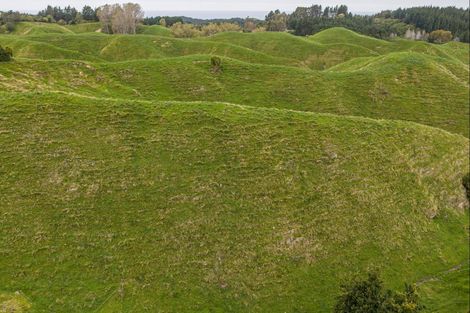 Photo of property in 81 Kaiwaka Road, Tangoio, Napier, 4181