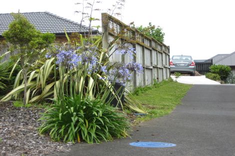 Photo of property in 19 Premila Drive, Pukekohe, 2120