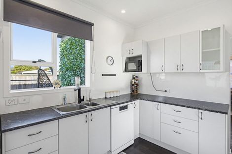 Photo of property in 38 Princes Street, Levin, 5510