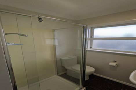 Photo of property in 35 Graham Street, Levin, 5510