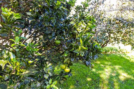 Photo of property in 288 Valley Road, Kaiwaka, 0573