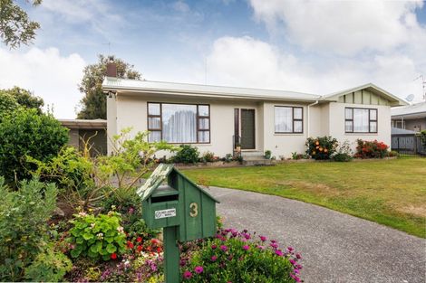 Photo of property in 3 Hurley Place, Awapuni, Palmerston North, 4412