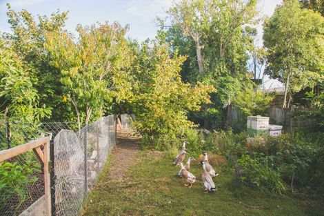 Photo of property in 12 Rakau Street, Havelock North, 4130