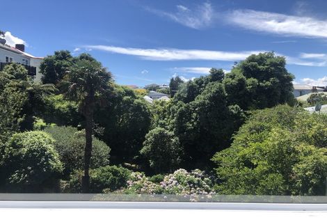 Photo of property in 145b Wallace Street, Mount Cook, Wellington, 6021