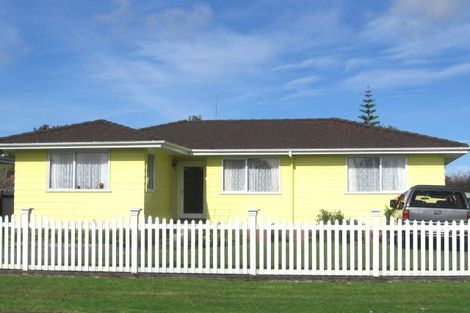 Photo of property in 22 Hinerau Street, Henderson, Auckland, 0612