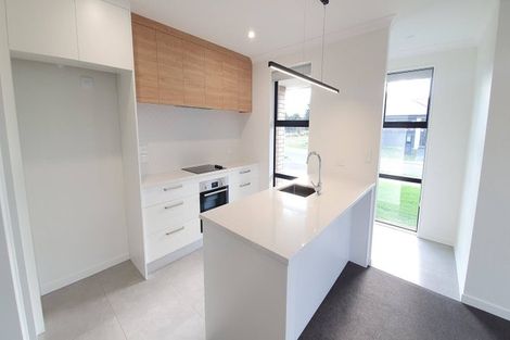 Photo of property in 19 Petunia Drive, Wigram, Christchurch, 8025