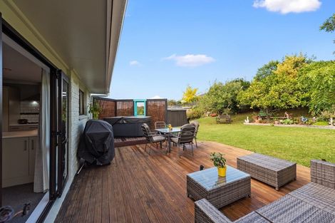 Photo of property in 19 Maple Avenue, Dinsdale, Hamilton, 3204