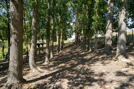 Photo of property in 398 French Pass Road, Karapiro, Cambridge, 3496