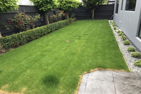 Photo of property in 222 Westminster Street, Mairehau, Christchurch, 8013