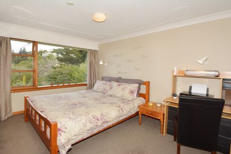 Photo of property in 459 South Road, Calton Hill, Dunedin, 9012