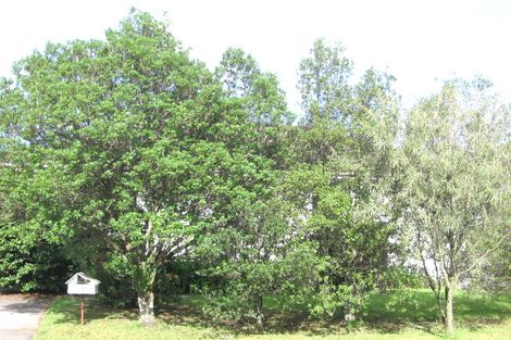 Photo of property in 20 Hinerau Street, Henderson, Auckland, 0612