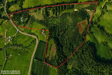 Photo of property in 501 Purangi Road, Purangi, Whitianga, 3591
