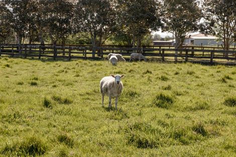 Photo of property in 109 Te Rahu Road, Poroporo, Whakatane, 3193