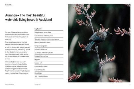 Photo of property in 169 Bremner Road, Karaka, Papakura, 2113