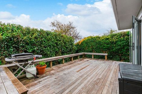 Photo of property in 17 Matipo Street, Taupo, 3330