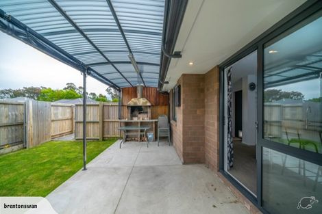 Photo of property in 47 Lignite Drive, Rolleston, 7614