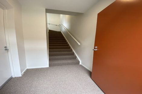 Photo of property in Aniva Terrace, 13 Arney Street, Newtown, Wellington, 6021