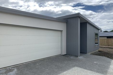 Photo of property in 5 Poukirikiri Place, Richmond, 7020