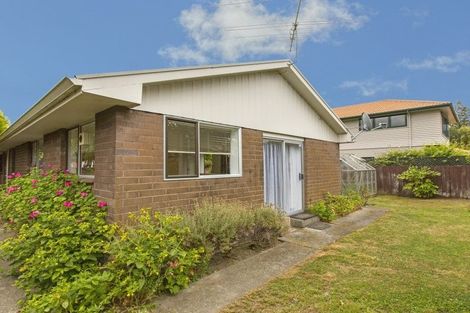 Photo of property in 31c Mahoe Street, Hutt Central, Lower Hutt, 5010