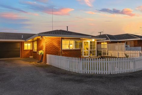 Photo of property in 25a Trafalgar Street, Levin, 5510