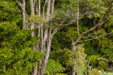Photo of property in 240 Krippner Road, Puhoi, Warkworth, 0994