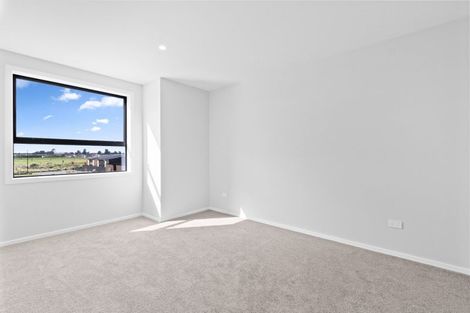 Photo of property in 65 Musselwhite Terrace, Chartwell, 3210