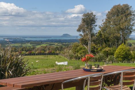 Photo of property in 1039a Work Road, Whakamarama, Katikati, 3181