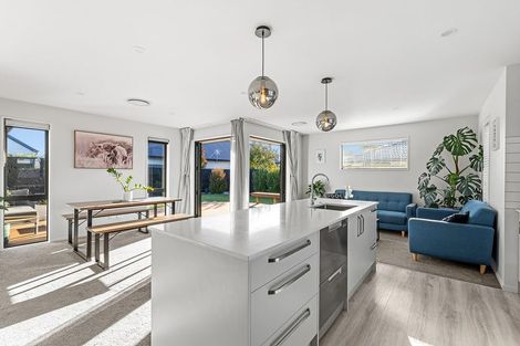 Photo of property in 25 Vitalia Crescent, Lincoln, 7608