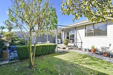 Photo of property in 17 Castile Place, Belfast, Christchurch, 8051