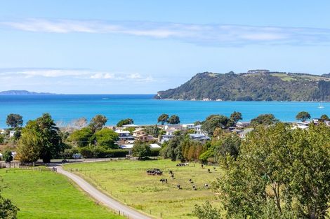 Photo of property in 925a Purangi Road, Cooks Beach, Whitianga, 3591