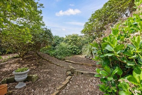 Photo of property in 24 Sequoia Place, Morrinsville, 3300