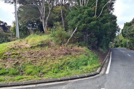 Photo of property in 92 Pinchgut Road, Kaukapakapa, 0873