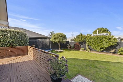 Photo of property in 15a Barratt Street, Blenheim, 7201